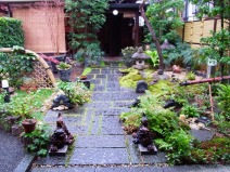 岡井造園の庭の様子